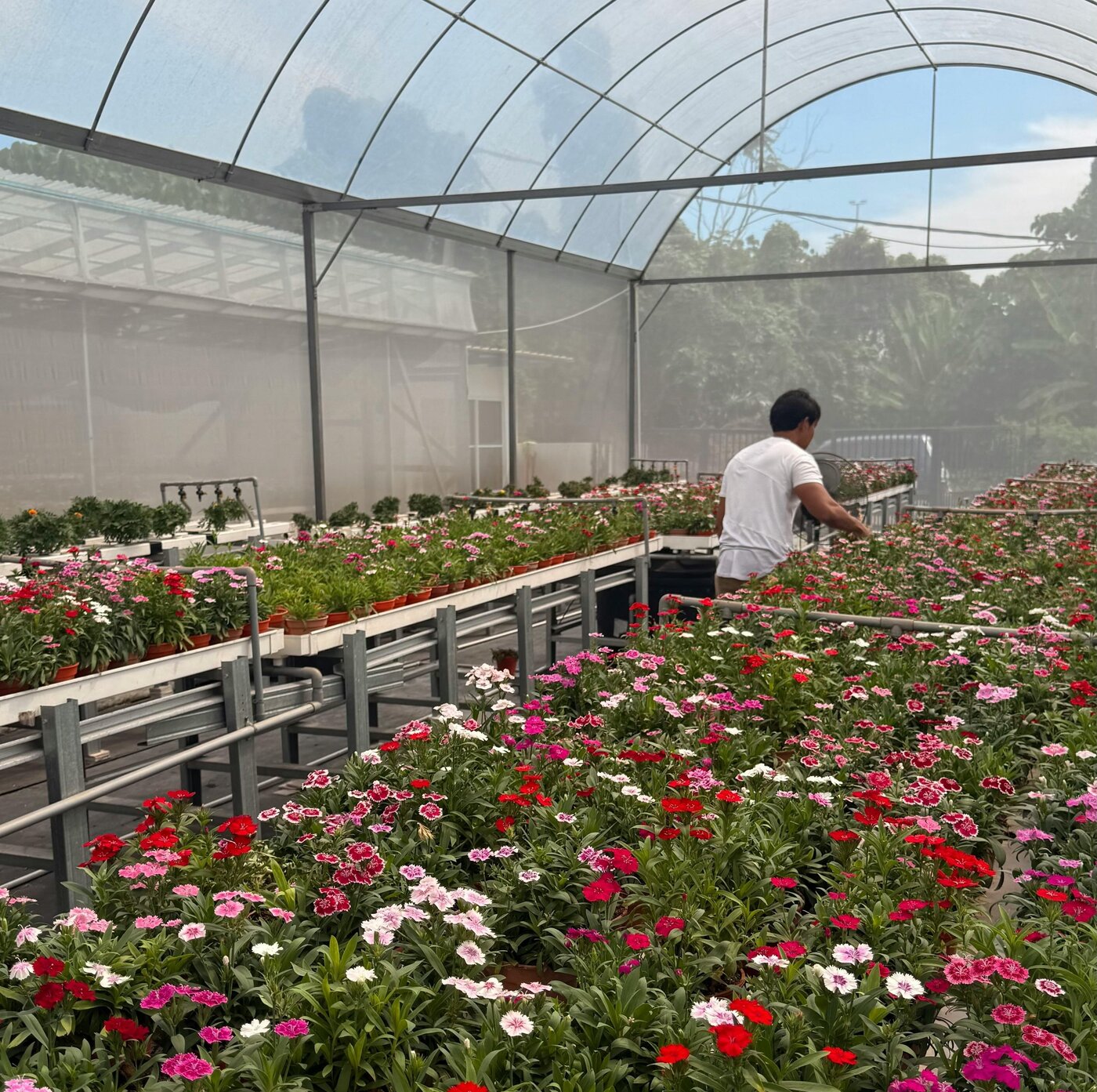 A commercial flower greenhouse in Kenya — the kind of workplace the Worker Justice partnership will support
